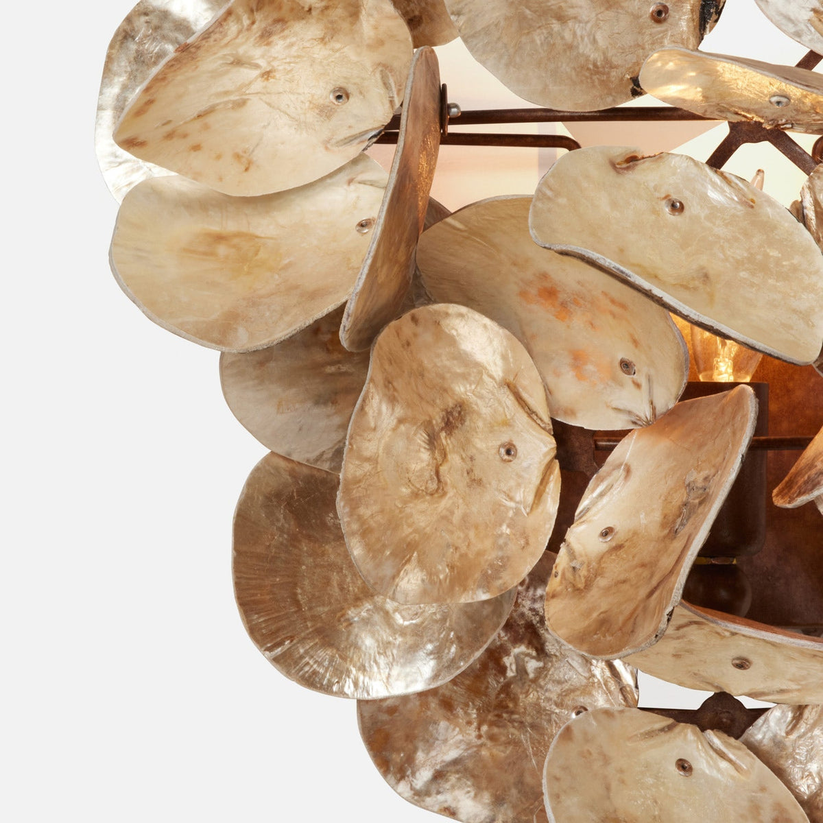Made Goods Venus Wall Sconce