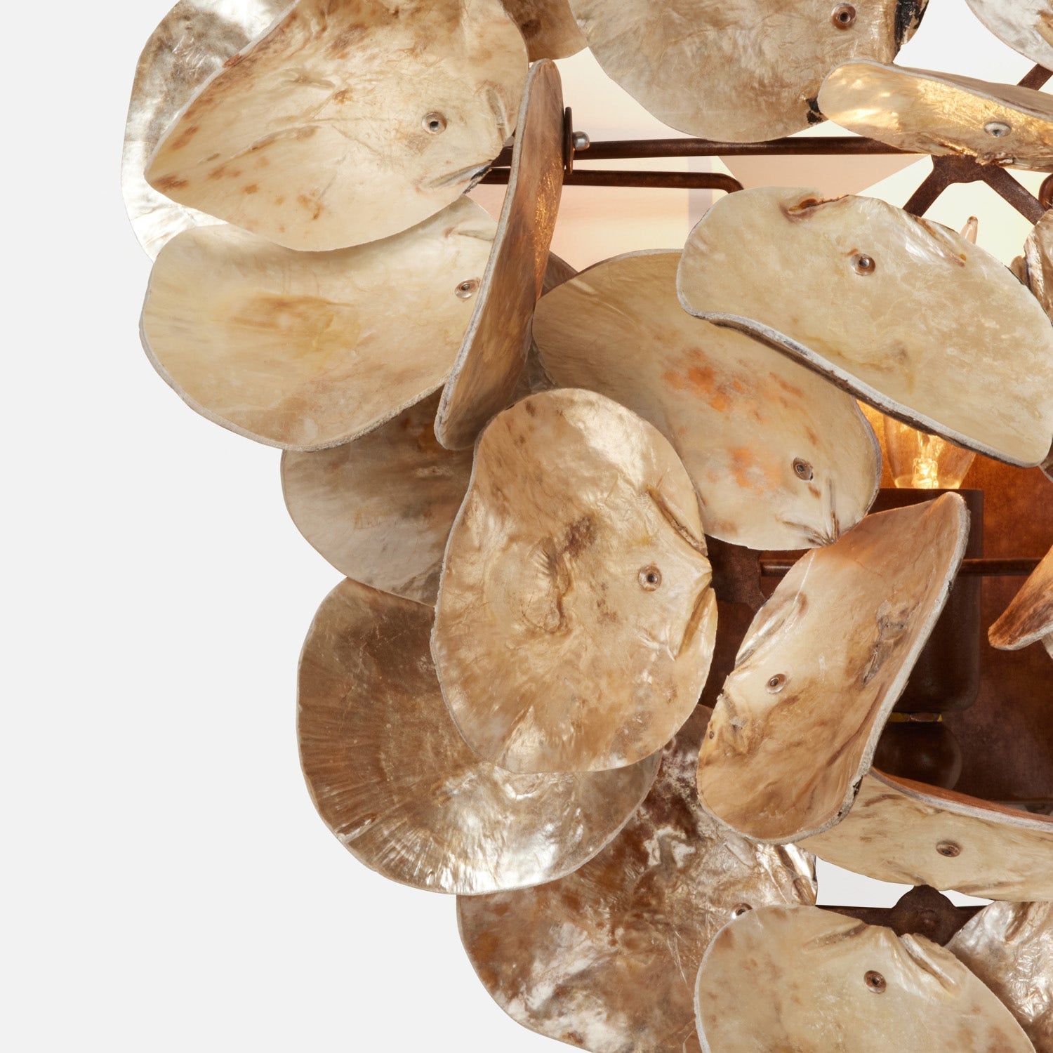 Made Goods Venus Wall Sconce