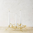 Michael Aram Butterfly Ginkgo Gold Low Candleholders