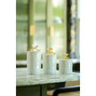 Michael Aram Butterfly Ginkgo Gold Porcelain Canister