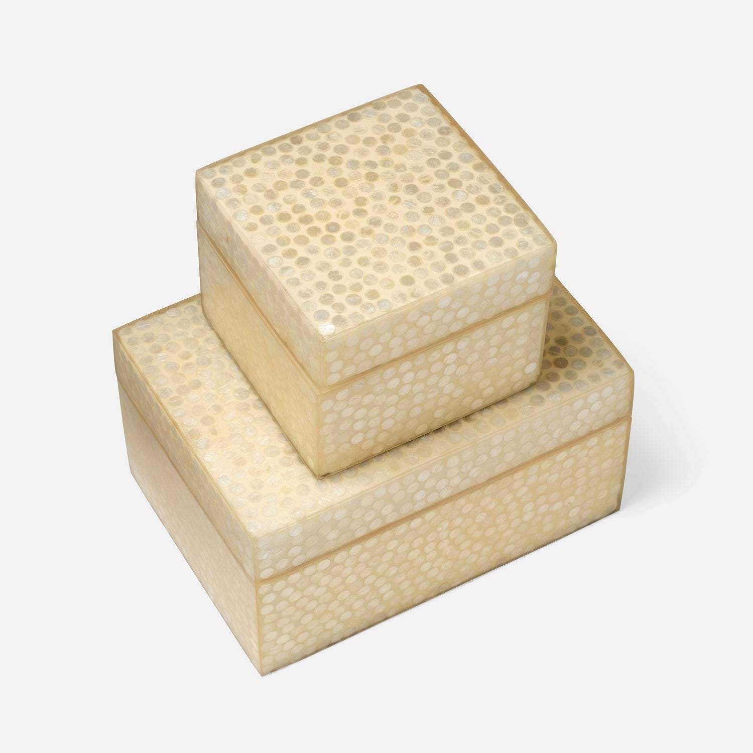 Albus Decorative Box - Set of 2