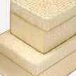 Albus Decorative Box - Set of 2