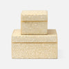 Albus Decorative Box - Set of 2