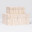 Asher Bone Box - Set of 2