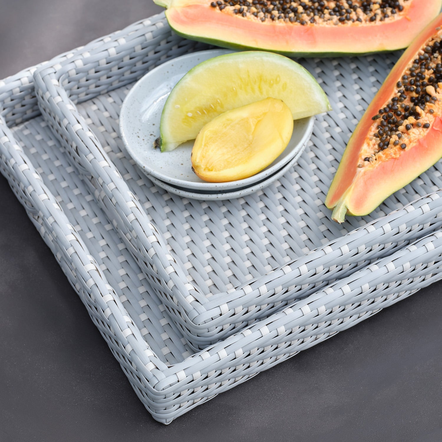 Avanna Faux Wicker Tray - Set of 2