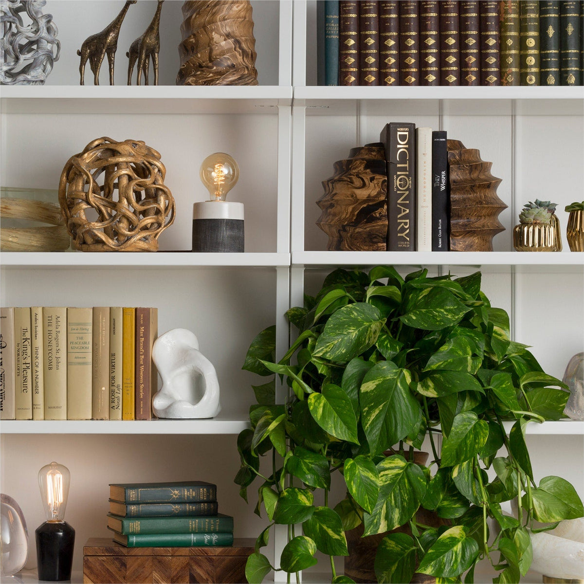 Baylor Mango Wood Bookend Set