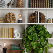 Baylor Mango Wood Bookend Set