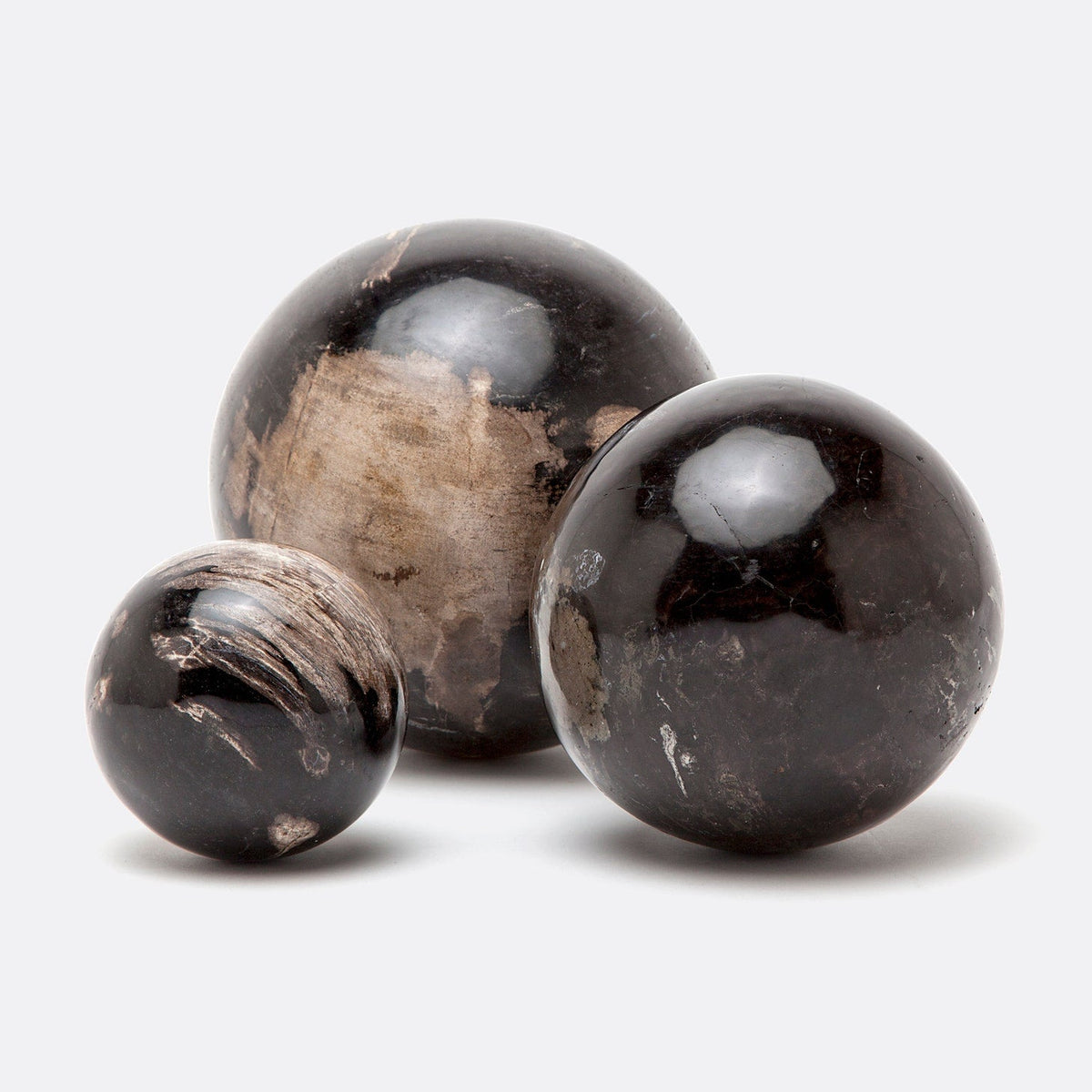 Bram Petrified Wood Spheres - Set of 3