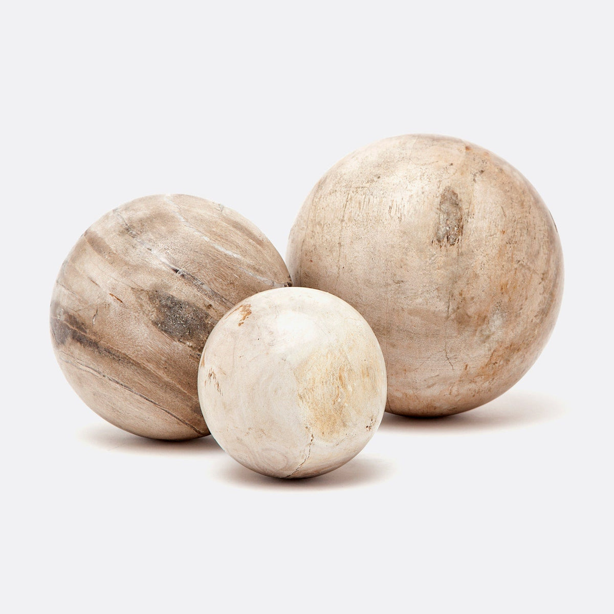Bram Petrified Wood Spheres - Set of 3