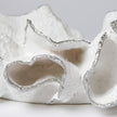Coco Faux Coral Tray