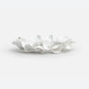 Coco Faux Coral Tray
