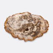 Dashiell Petrified Wood Tray