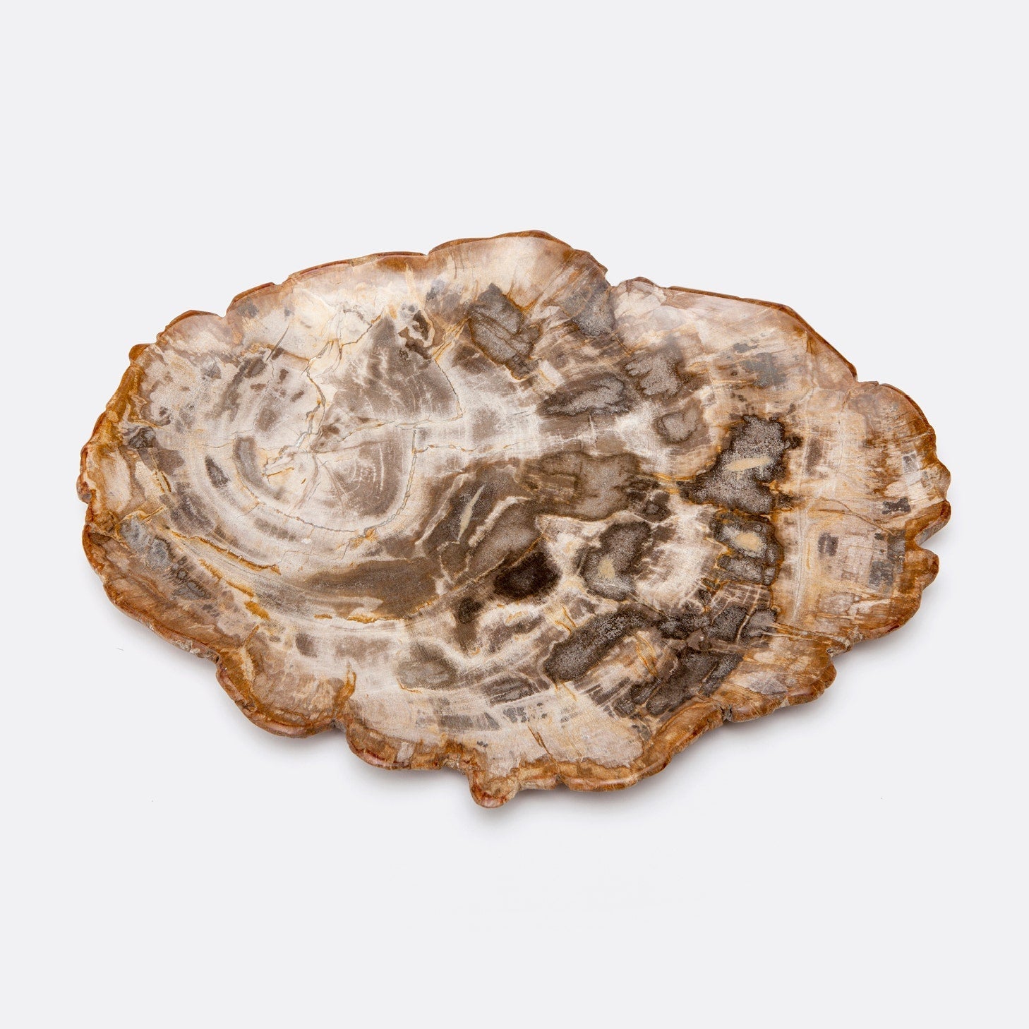 Dashiell Petrified Wood Tray