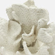 Dempsey Faux Sea Sponge Sculpture