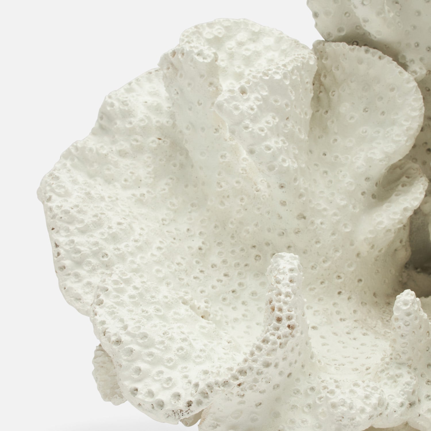 Dempsey Faux Sea Sponge Sculpture
