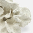 Dempsey Faux Sea Sponge Sculpture