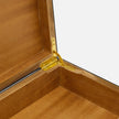 Denali Resin Box - Set of 2