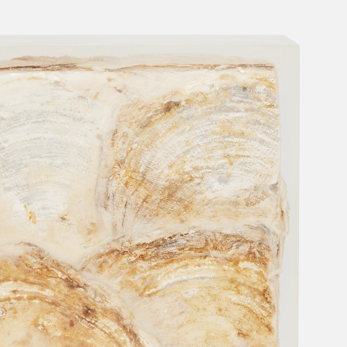 Elara Capiz Shell Bookend Set