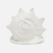 Gian Porcelain Conch Sculpture - Multiple of 2