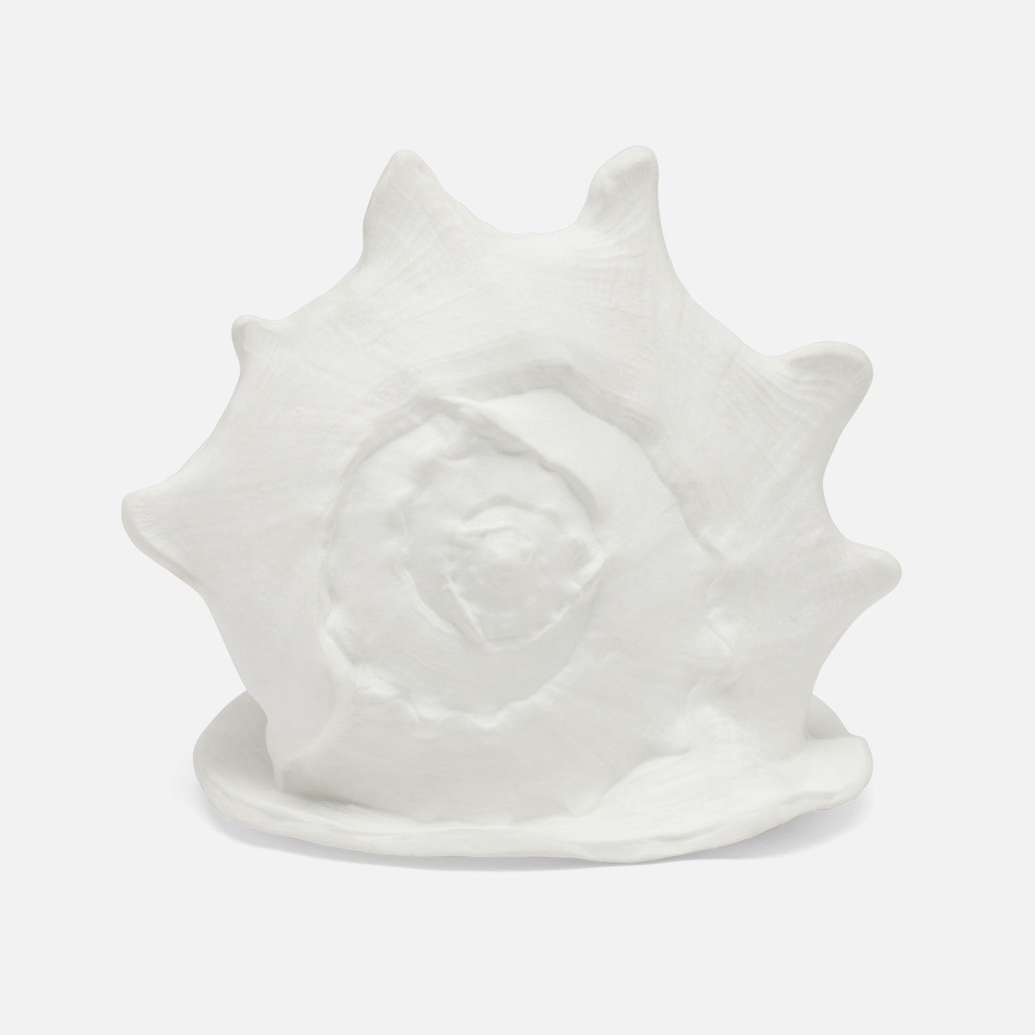 Gian Porcelain Conch Sculpture - Multiple of 2
