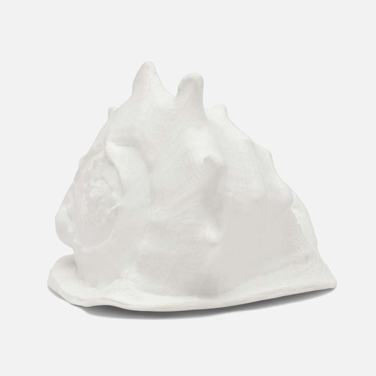 Gian Porcelain Conch Sculpture - Multiple of 2