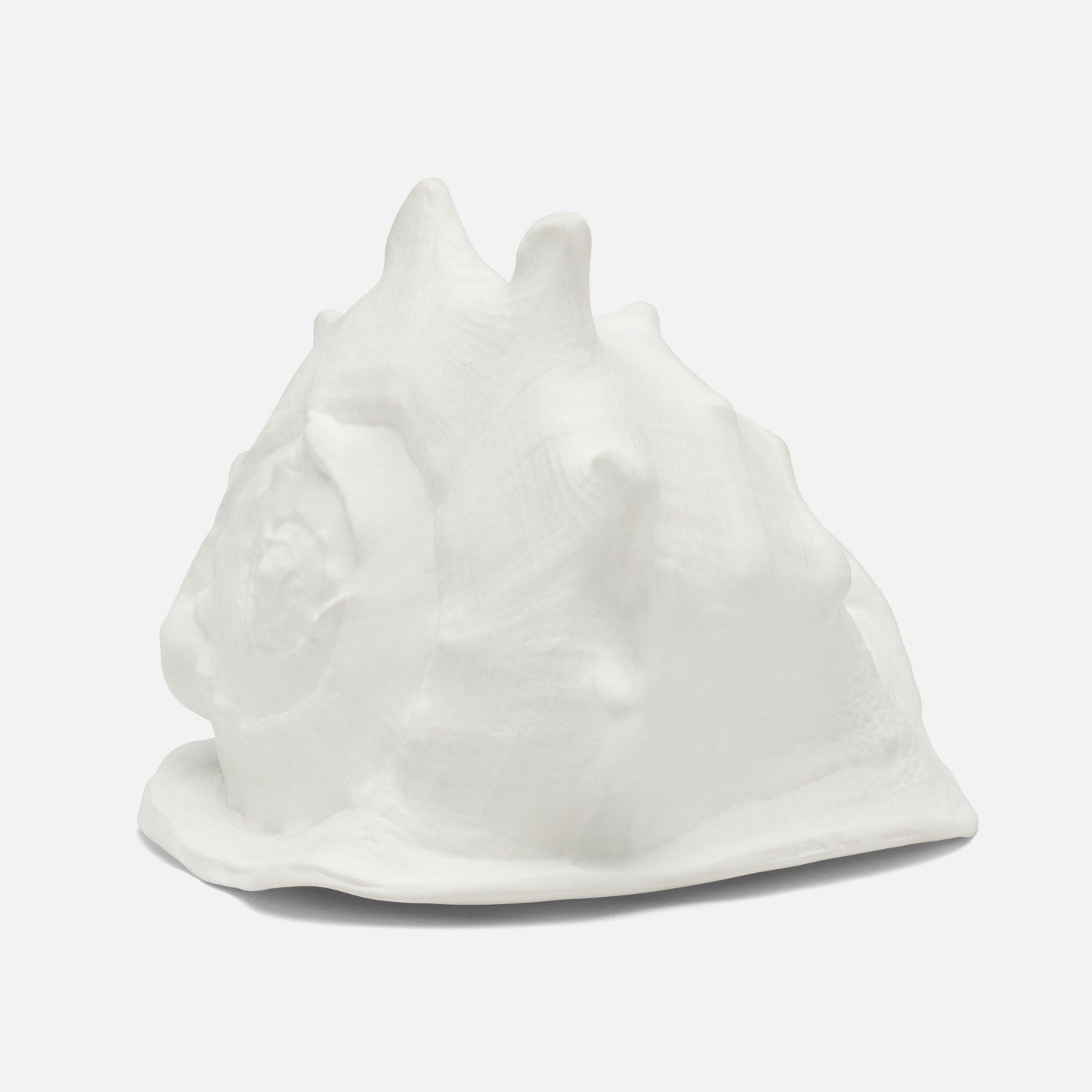 Gian Porcelain Conch Sculpture - Multiple of 2