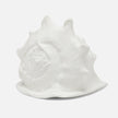 Gian Porcelain Conch Sculpture - Multiple of 2