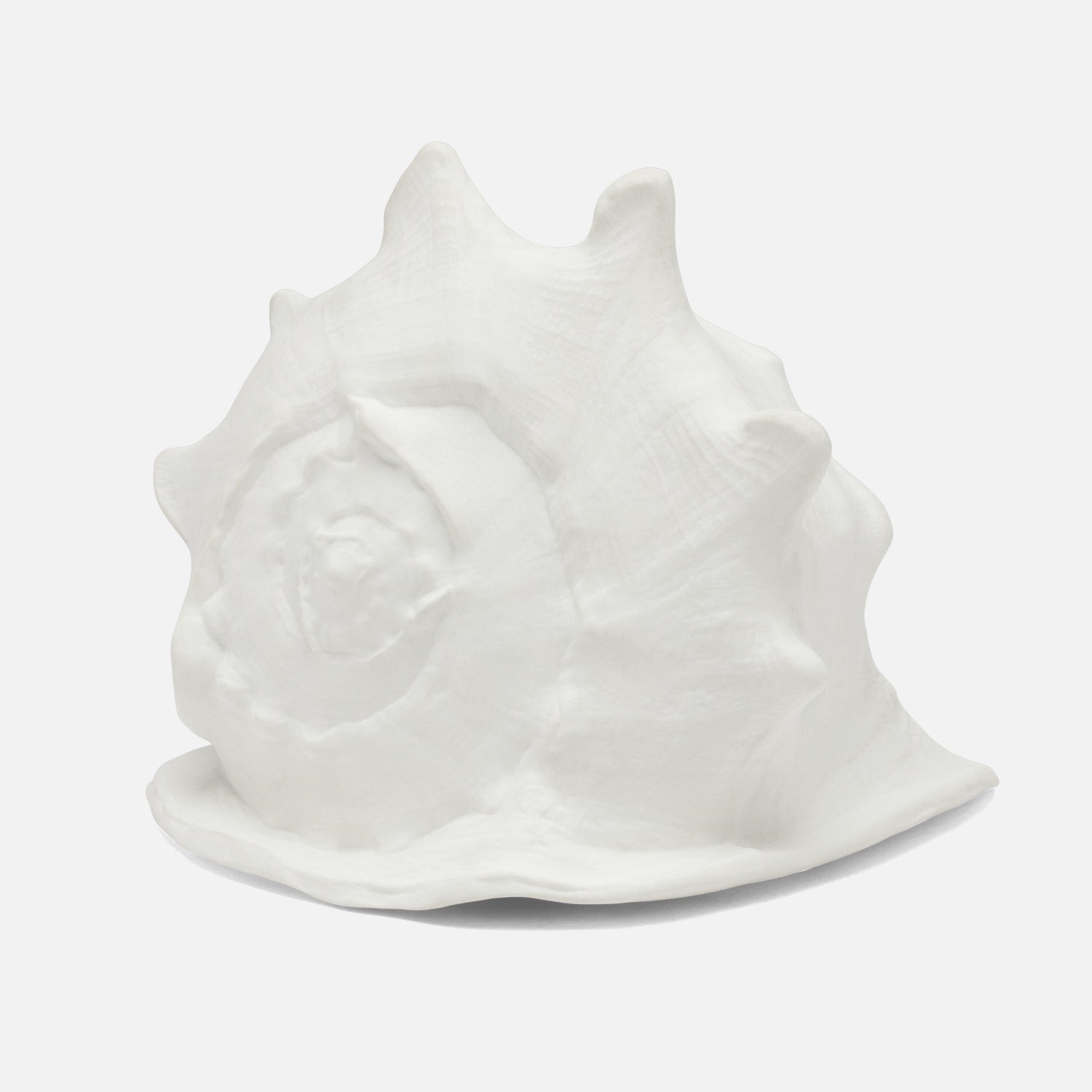 Gian Porcelain Conch Sculpture - Multiple of 2