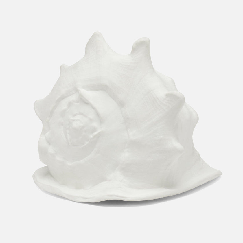 Gian Porcelain Conch Sculpture - Multiple of 2