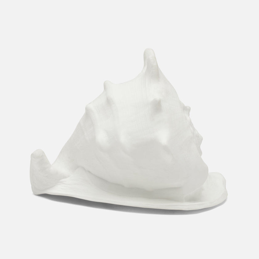 Gian Porcelain Conch Sculpture - Multiple of 2