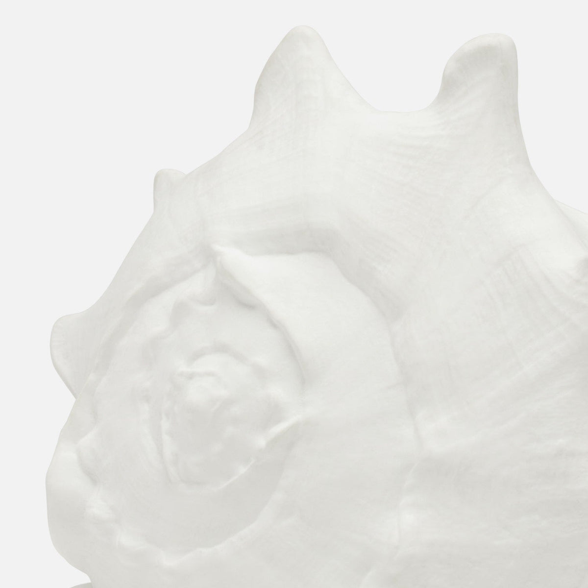 Gian Porcelain Conch Sculpture - Multiple of 2