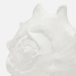 Gian Porcelain Conch Sculpture - Multiple of 2
