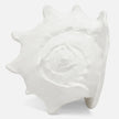 Gian Porcelain Conch Sculpture - Multiple of 2