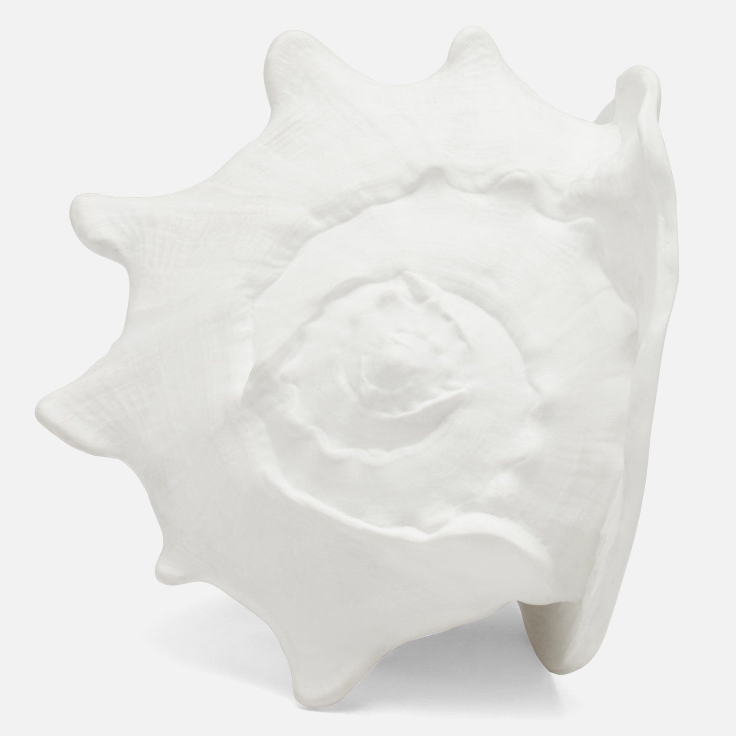 Gian Porcelain Conch Sculpture - Multiple of 2