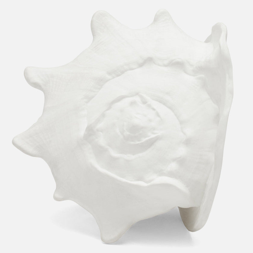 Gian Porcelain Conch Sculpture - Multiple of 2