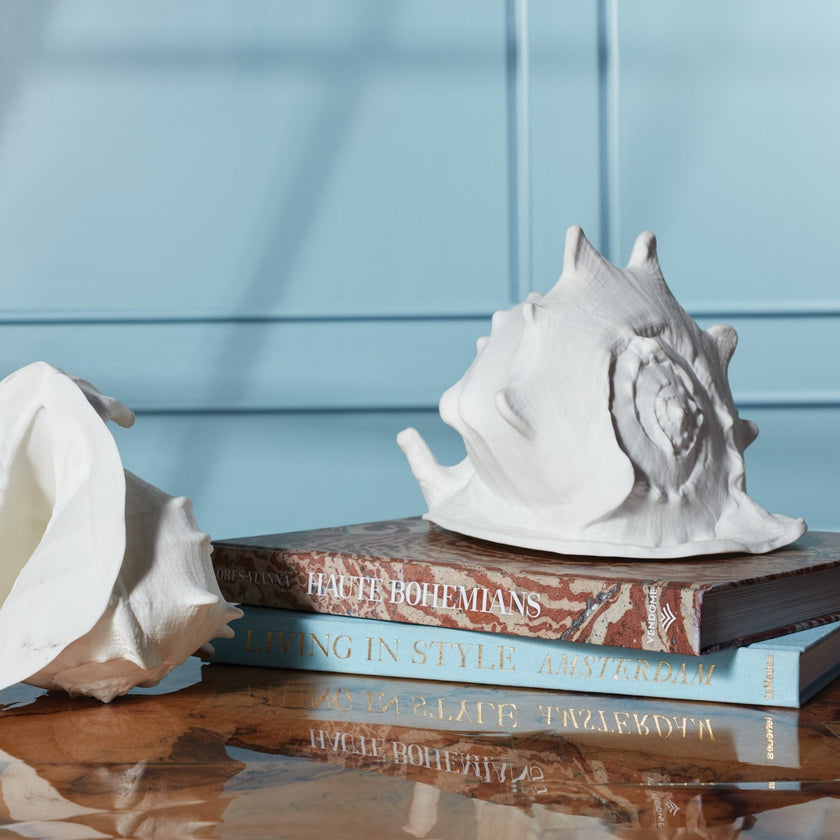 Gian Porcelain Conch Sculpture - Multiple of 2