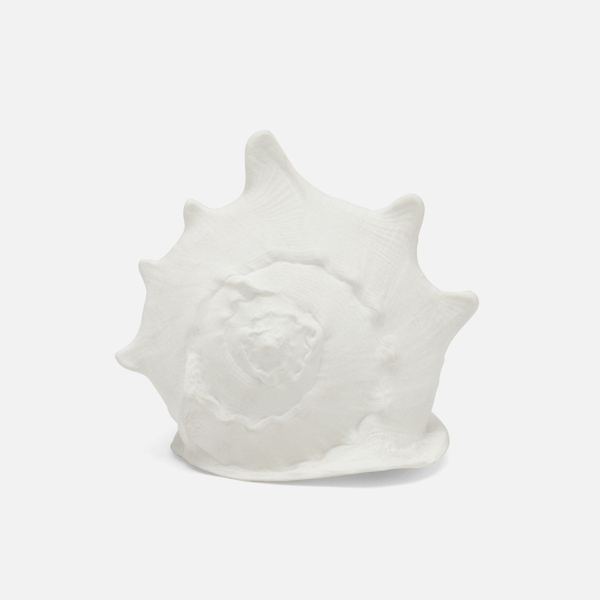 Gian Porcelain Conch Sculpture - Multiple of 2