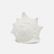 Gian Porcelain Conch Sculpture - Multiple of 2