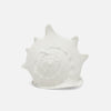Gian Porcelain Conch Sculpture - Multiple of 2