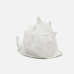 Gian Porcelain Conch Sculpture - Multiple of 2