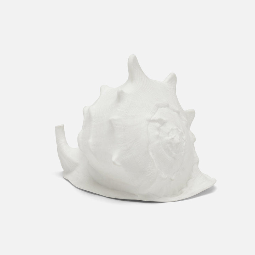 Gian Porcelain Conch Sculpture - Multiple of 2