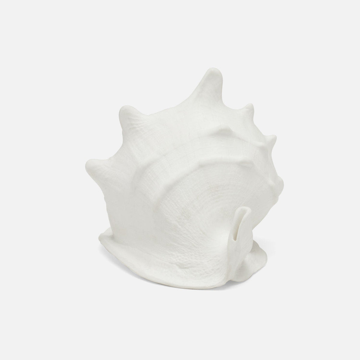 Gian Porcelain Conch Sculpture - Multiple of 2