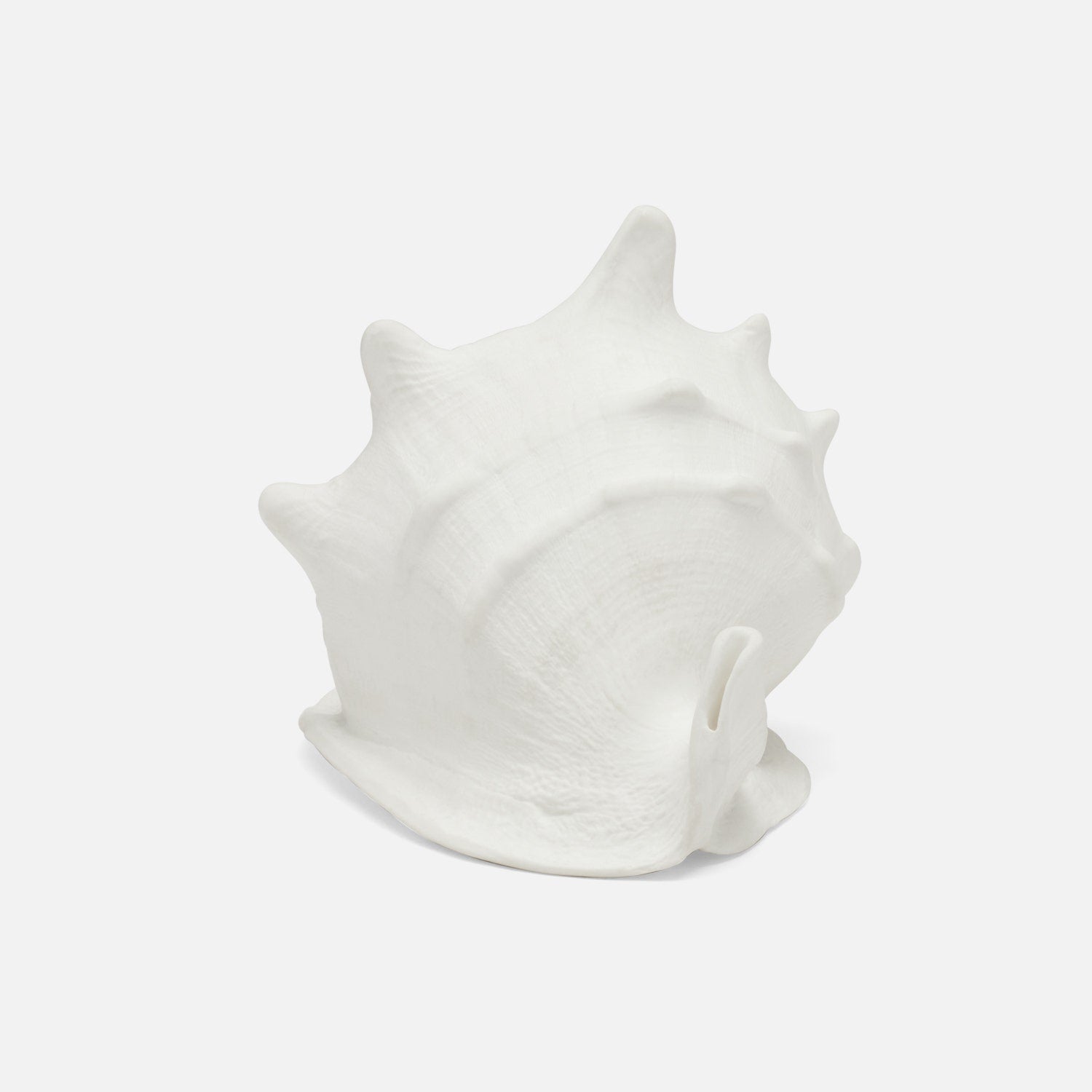 Gian Porcelain Conch Sculpture - Multiple of 2