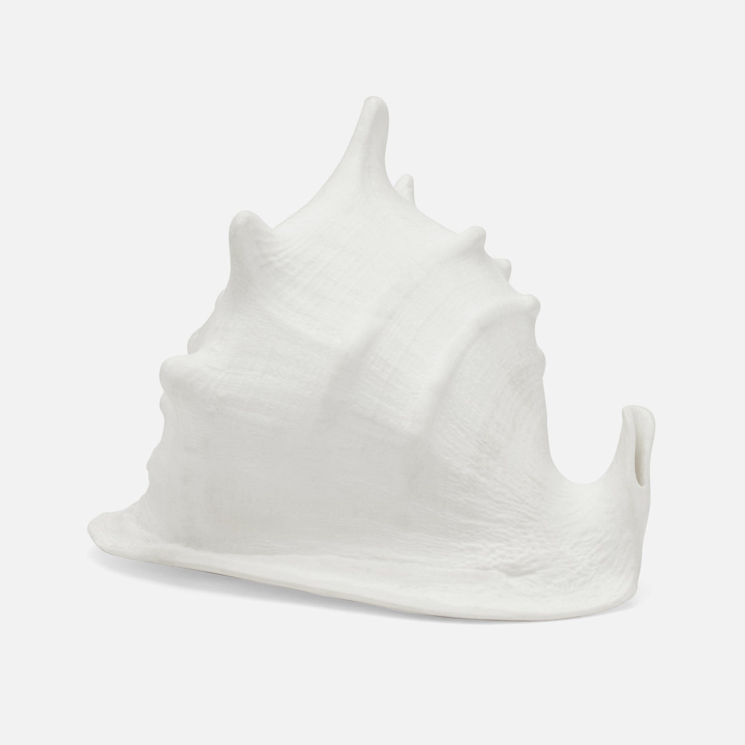 Gian Porcelain Conch Sculpture - Multiple of 2