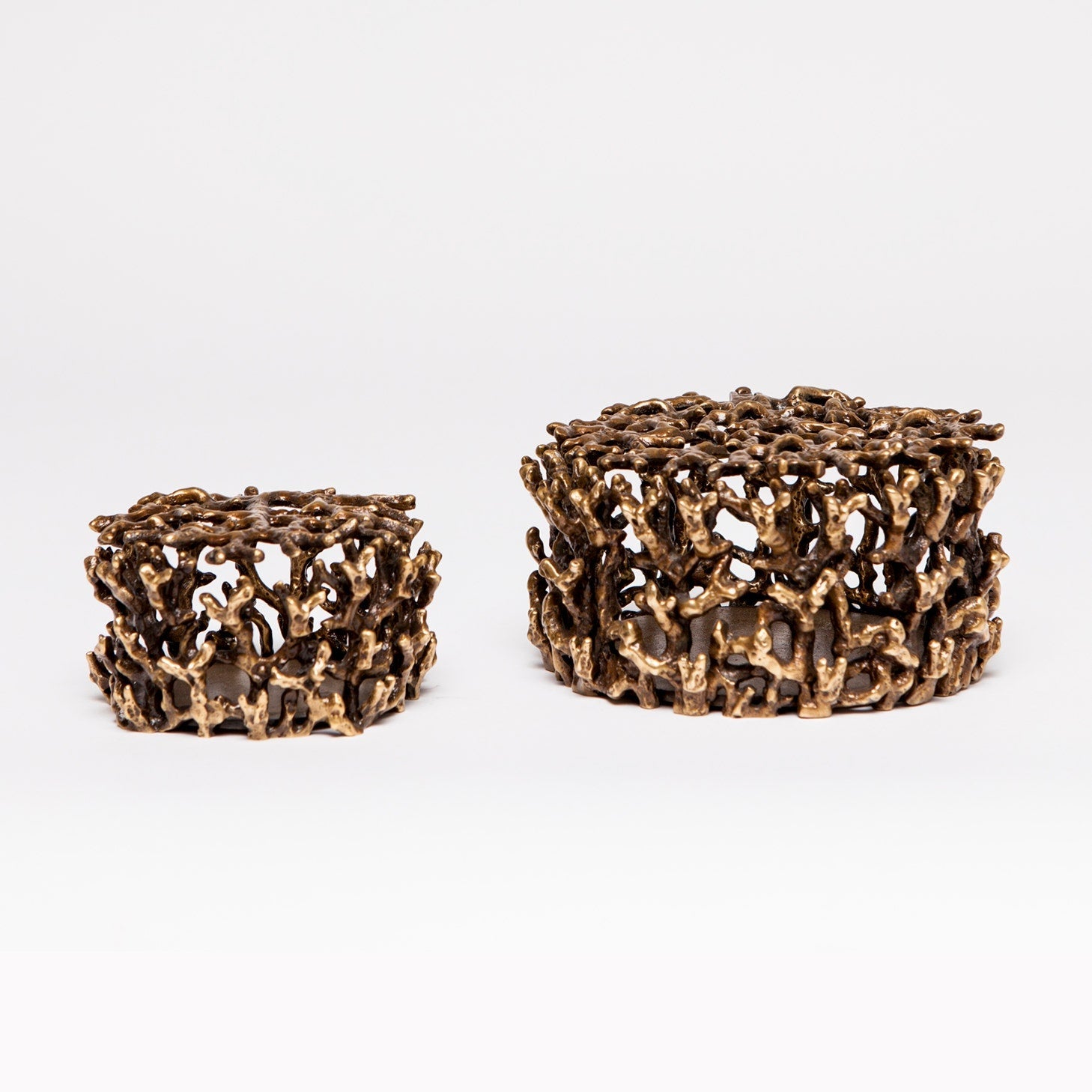 Isola Brass Coral Decorative Box - Set of 2