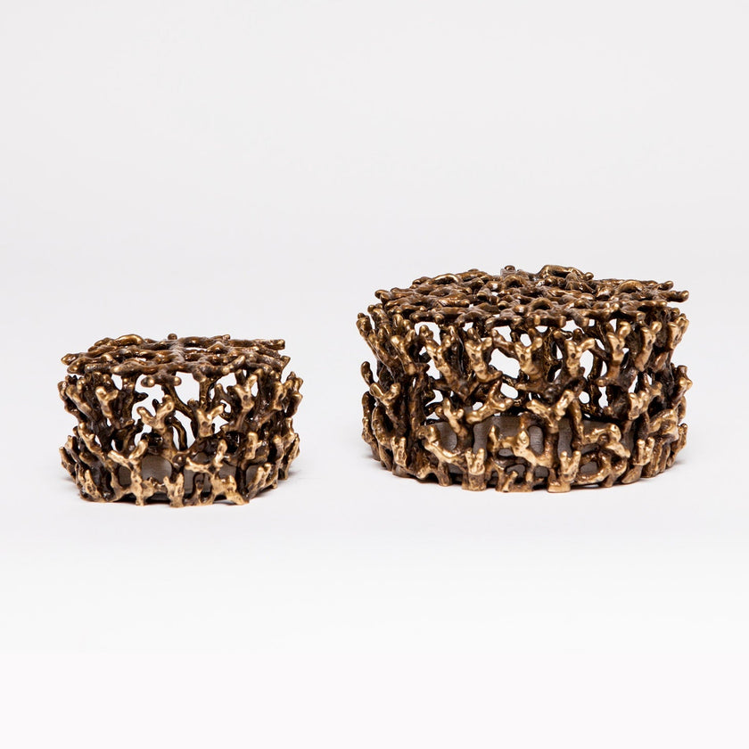 Isola Brass Coral Decorative Box - Set of 2