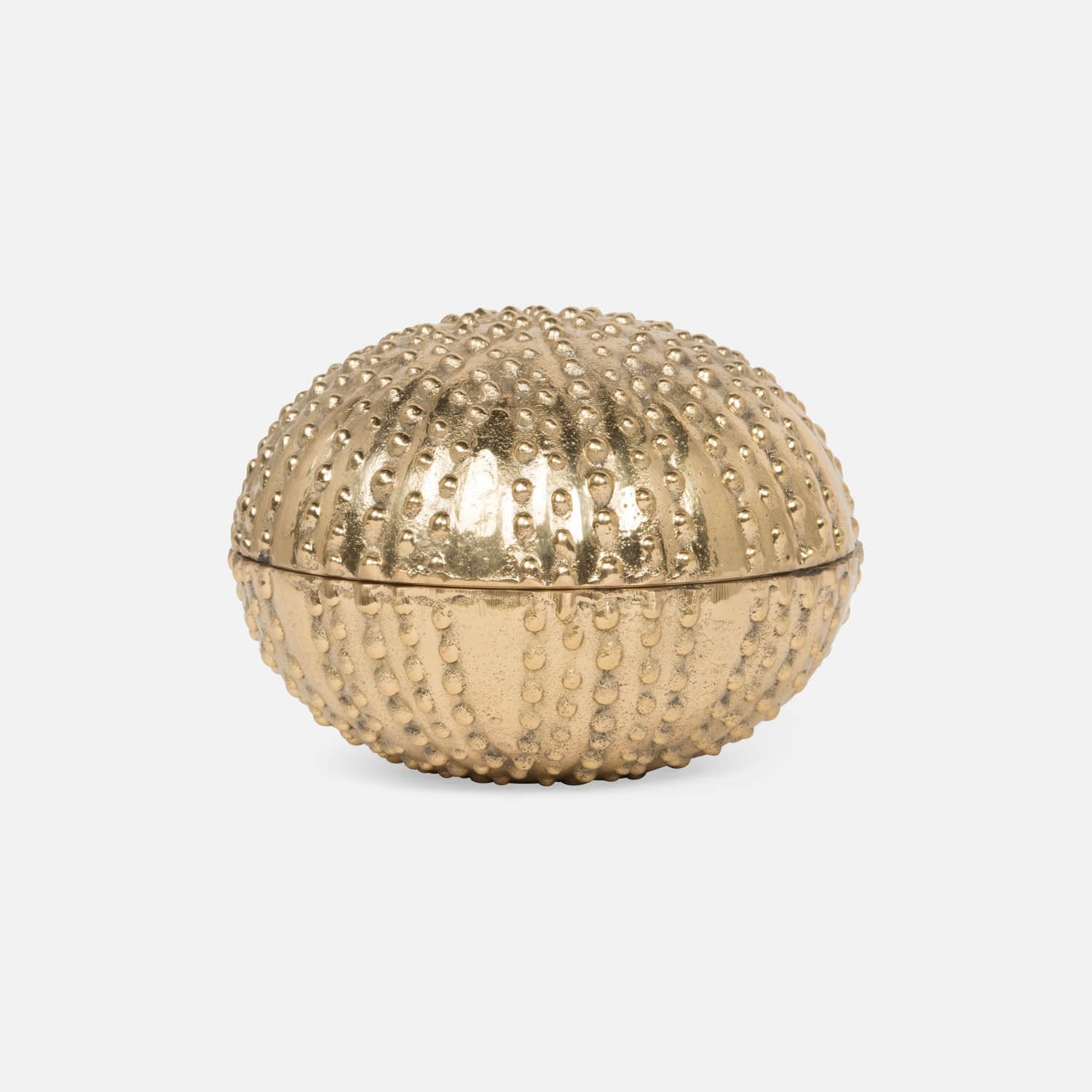 Obelia Urchin Brass Box
