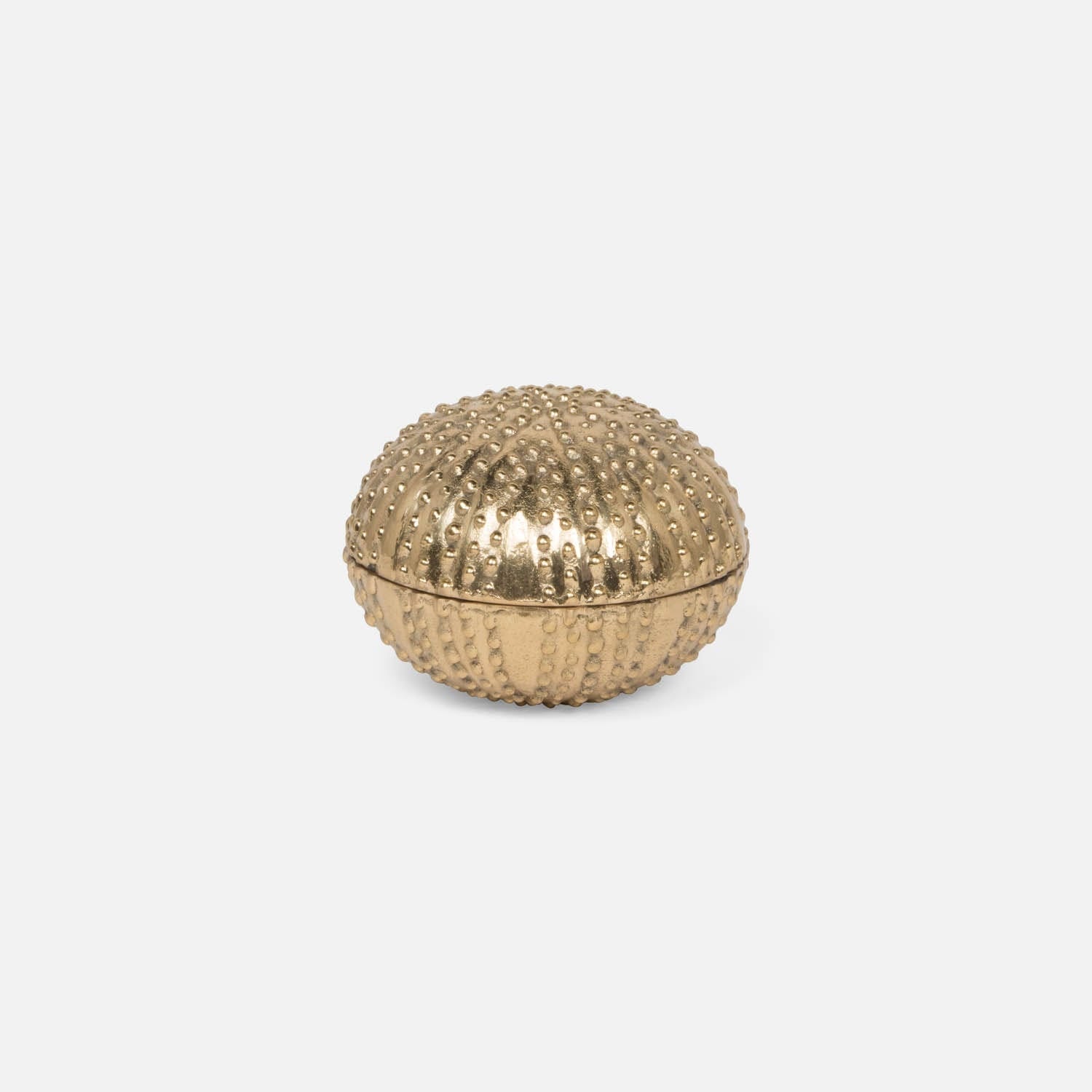 Obelia Urchin Brass Box