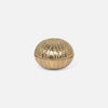 Obelia Urchin Brass Box