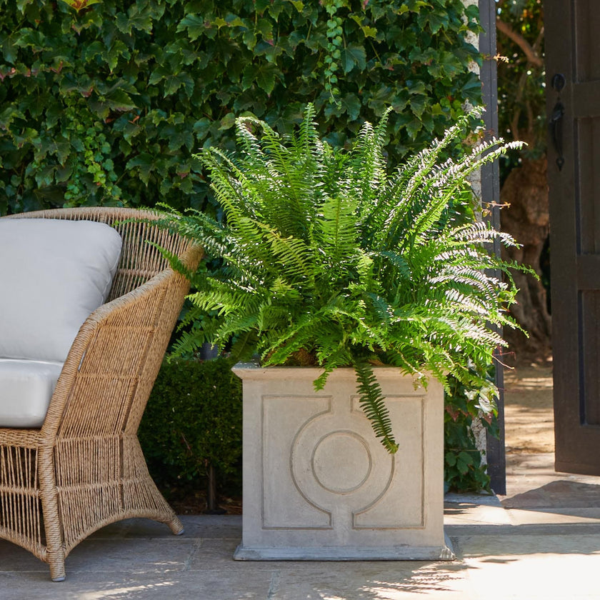 Made Goods Odera Box Planter